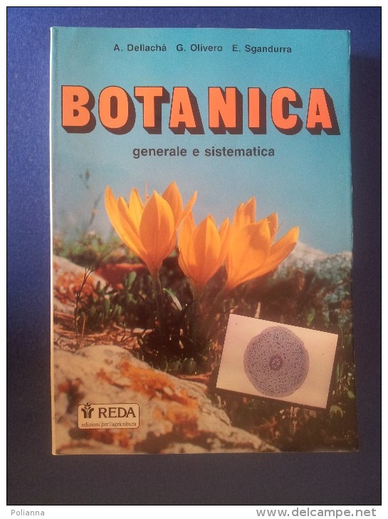 M#0D47 Dellacha-Olivero-Sgandurra BOTANICA Reda Ed.1989/PIANTE - Jardinería