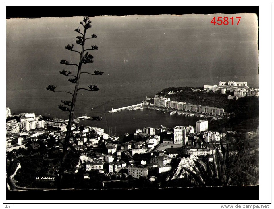 Monaco Vue Generale Sur Le Port - Harbor