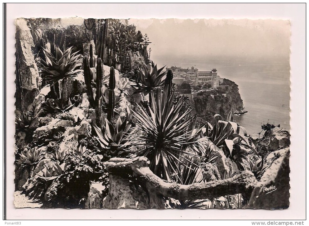 -- MONTE-CARLO:  Les Jardins Exotiques Et Le Rocher De Monaco -  Cpsm - - Exotische Tuin