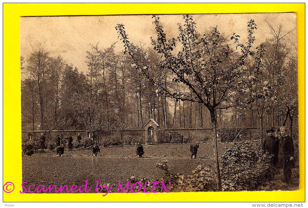 JARDIN HOF MIDDELBARE BEROEP-SCHOOL KOSTSCHOOL ZUSTERS Van O.L.V. WAREGEM ECOLE D AGRICULTURE PENSIONNAT Waereghem 343 - Waregem