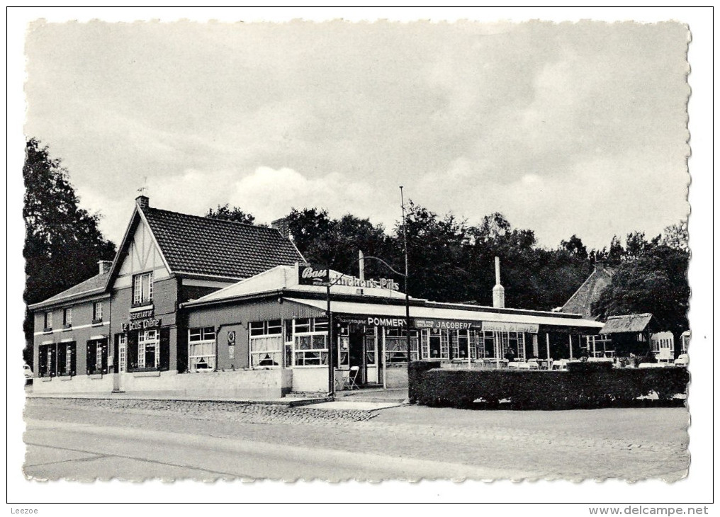 Carte Postale Dentelée Bernissart Hostellerie : "Le Gros Chêne" Ville Pommeroeul - Bernissart