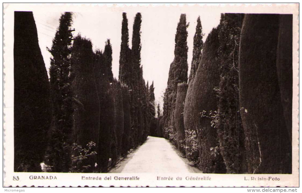 GRANADA - Entrada De Generalife - Granada