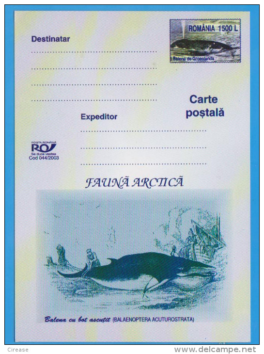 WHALES GROELANDA BALENAOPTERA ACUTUROSTRATA ROMANIA POSTAL STATIONERY - Baleines