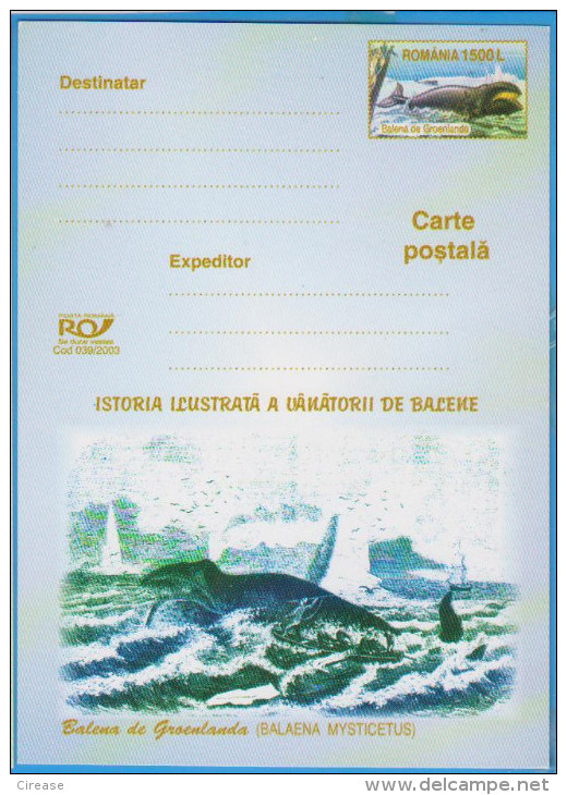 WHALES BALAENA MYSTICETUS ROMANIA POSTAL STATIONERY - Baleines