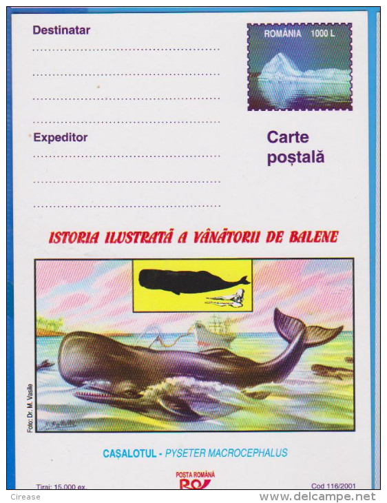 WHALES PYSETER MACROCEPHALUS ROMANIA POSTAL STATIONERY - Baleines