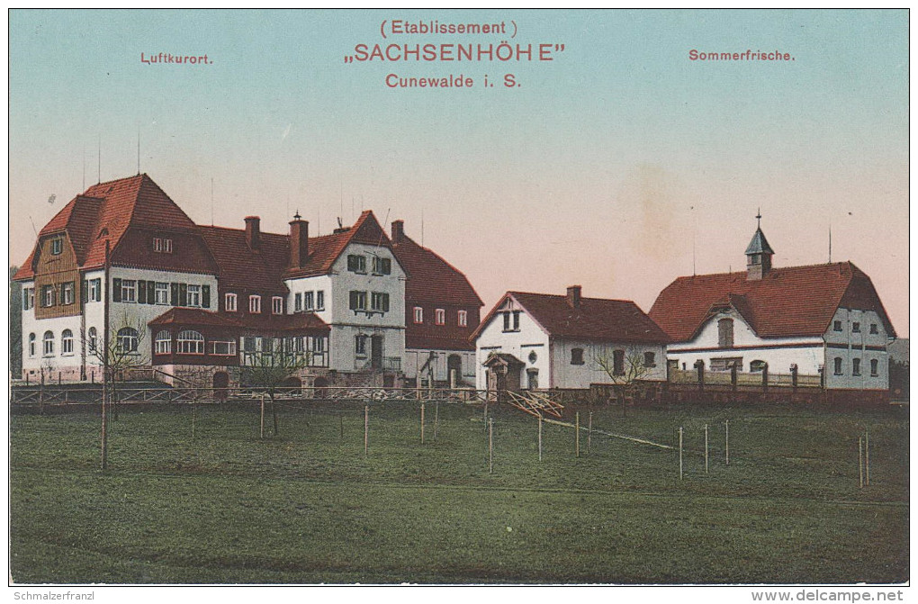 AK Cunewalde Etablissement Gasthaus Sachsenhöhe Bei Oppach Weigsdorf Hochkirch Crostau Schirgiswalde Wilthen Löbau - Cunewalde