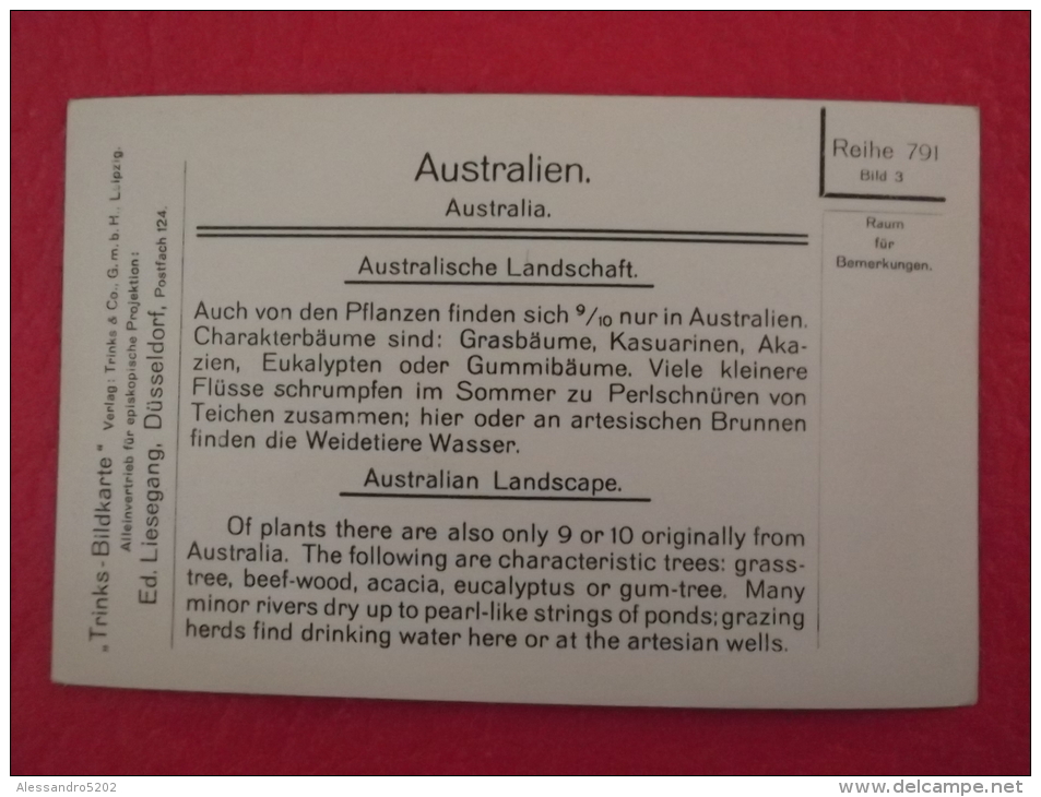 Australia Australiche Landschaft Advertising Postcard Look The Back Small Size+++++++ - Outback