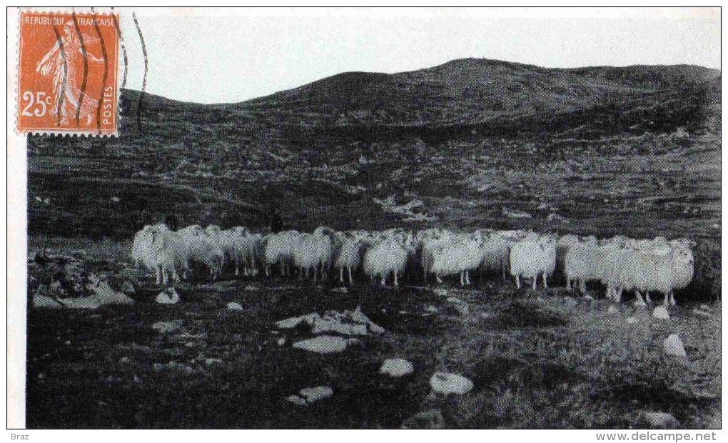 CPA  Groenland Faarelok Sydgronland - Greenland