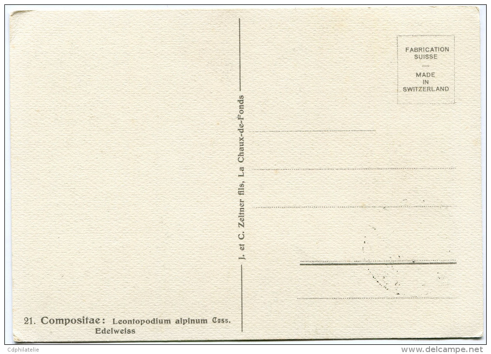 ANDORRE ESPAGNOL CARTE MAXIMUM DU N°43A  2c. EDELWEISS  OBLITERATION ANDORRA  24 JUL. 51 - Briefe U. Dokumente