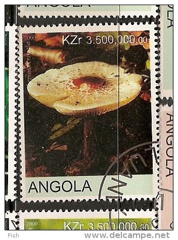 Angola (84) - Angola