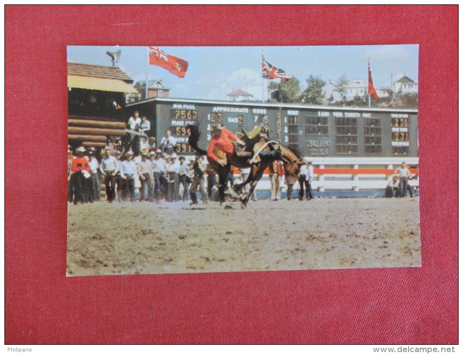 Canada > Alberta> Calgary  Bucking Horses Annual Stampede  --ref 1761 - Calgary