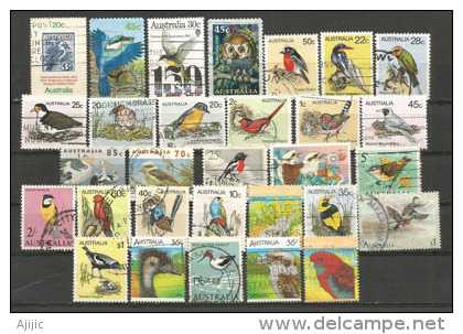 AUSTRALIE.  30 Beaux Timbres Oiseaux D'Australie, Tous Différents - Alla Rinfusa (max 999 Francobolli)