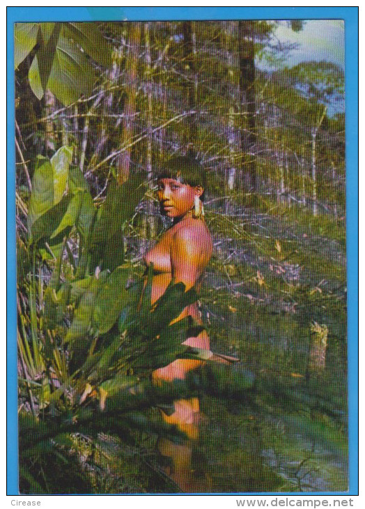 POSTCARD BRAZIL WOMEN TRIBE XAMATAUTERI SEMI NUDE UNUSED - Amérique