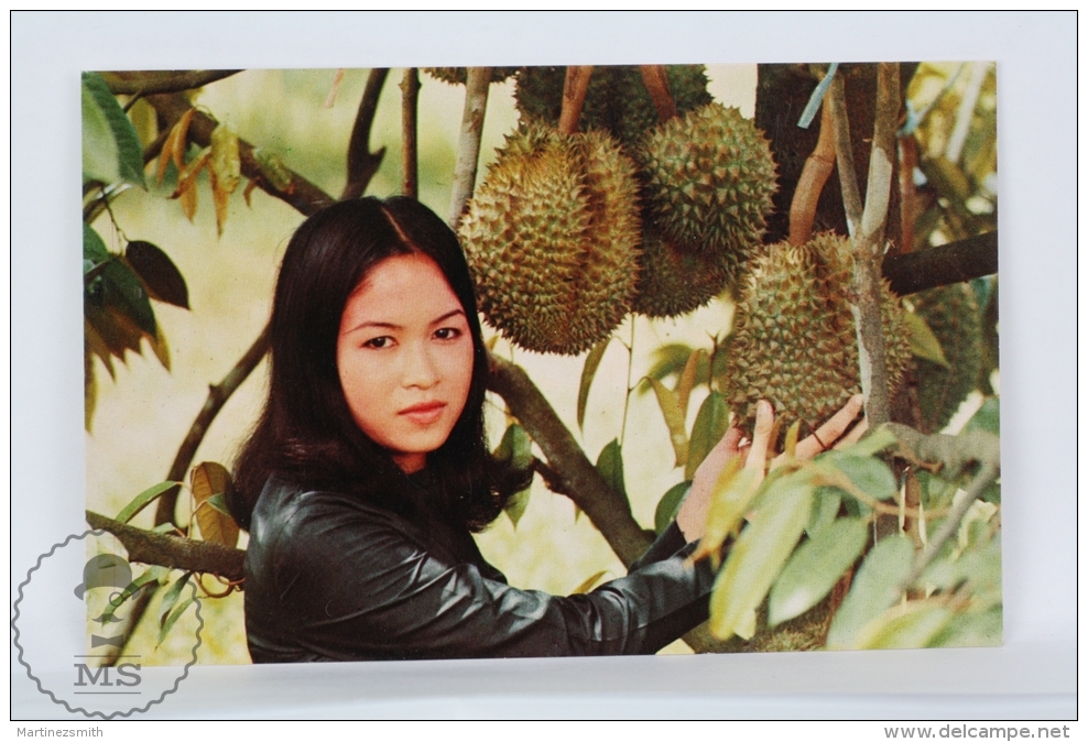 Thailand Postcard - Beautiful Thailand Brunette Girl Near Durian - Fruit - Tailandia