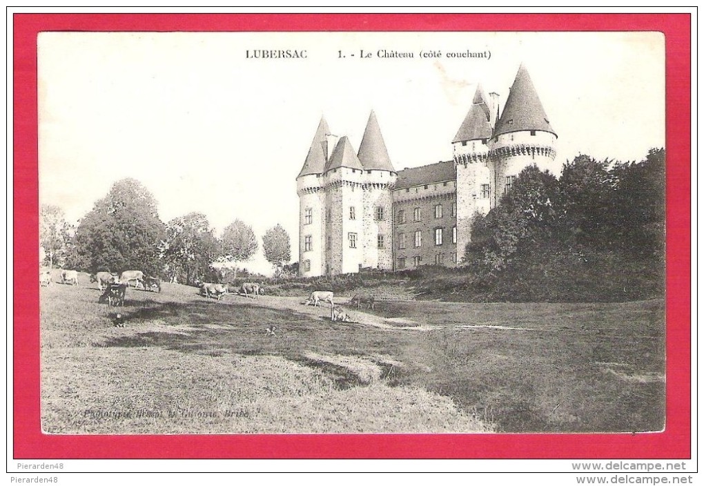 19-Lubersac- Le Château -cpa - Otros & Sin Clasificación