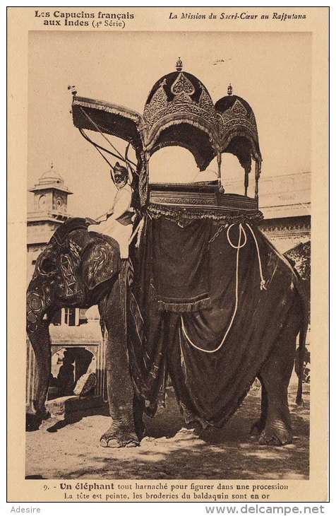 INDIEN - Un Elephant Tout Harnache Pour Figurerdans Une Procession - Indien