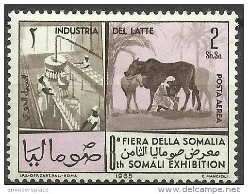 SOMALIA - 1965 Somali Industries (dairy) 1s50 MNH **        SG 430  Sc C102 - Somalia (1960-...)