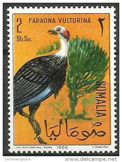 Somalia - 1966 Birds (Vulturine Guineafowl) 2s MNH **        SG 440  Sc 291 - Somalia (1960-...)