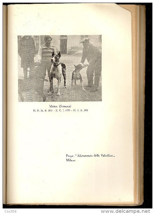 LIVRE Sur L'Elevage Du L'ALANO Chien De Concours ITALIEN , Couverture Signer R.BORELLO - Animaux De Compagnie