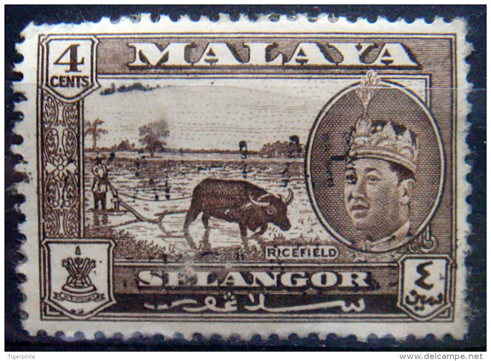 SELANGOR 1961 4c Ricefield USED - Selangor