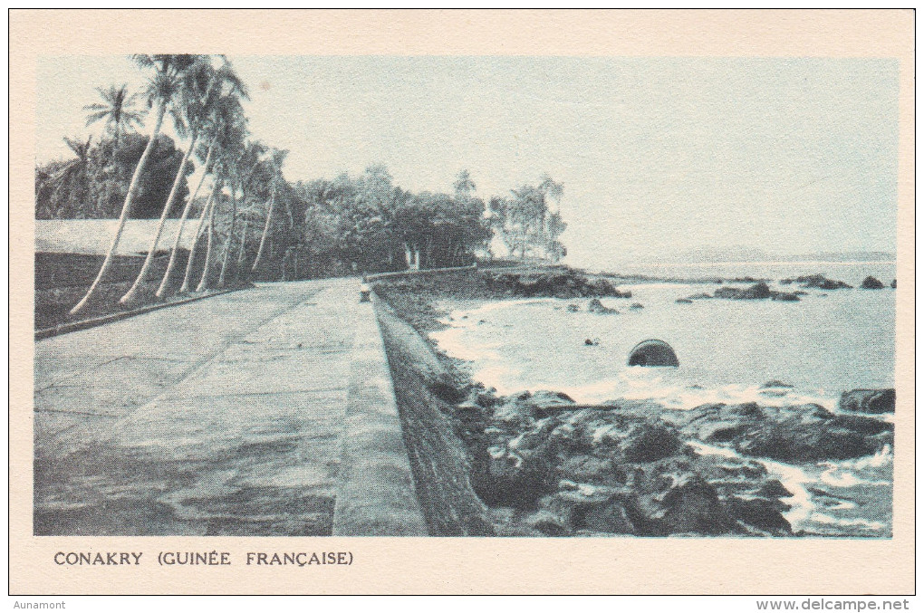 Africa--Guinee Française--1931--Conakry--Exposition Coloniale - Guinea Francesa