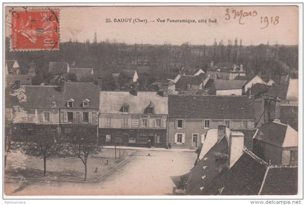 N°35  - BAUGY  -  Vue Panoramique, Coté Sud - Baugy