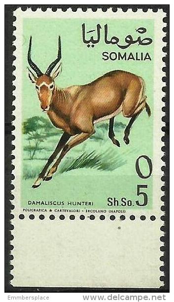 SOMALIA - 1968 Antelopes (Hunter´s Hartebeest) 5s MNH **        SG 484  Sc 334 - Somalië (1960-...)