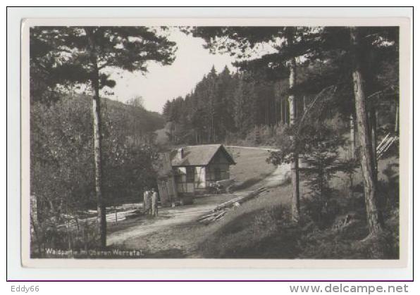 Dittersdorf-Waldpartie Im Oberen Werretal - Neustadt / Orla