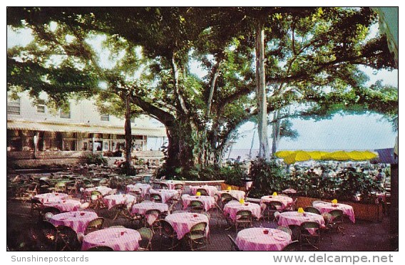 Moana Hotel's World Famous Banyan Court Lanai Hawaii - Lanai