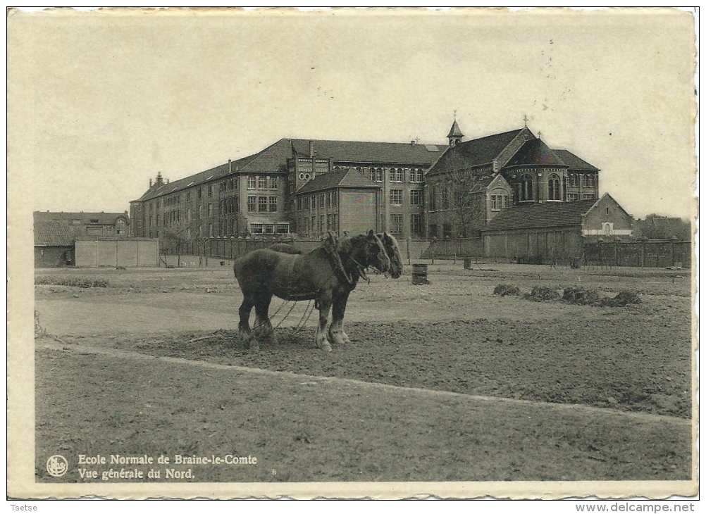 Braine-le-Comte - Ecole Normale - Vue Générale Du Nord - Chevaux De Traits - 1951 ( Voir Verso ) - Braine-le-Comte