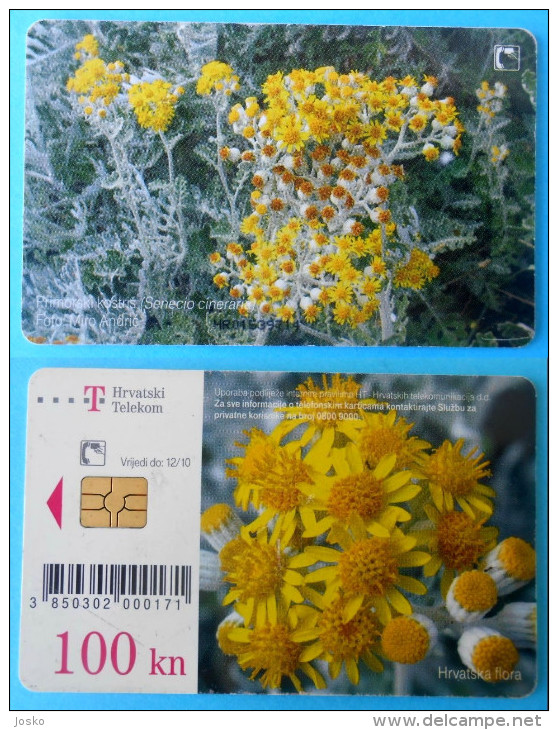 PRIMORSKI KOSTRIS - 100. KN ... Croatia Rare Card - Very High Value 100. Kuna * Flowers Fleurs Fiori Flower Flora Flore - Kroatien