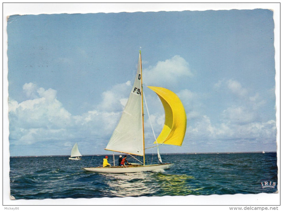 Sport--Voile--Bassin D'Arcachon--Les Voiliers (animée) Cpsm 15 X 10 N° 79 éd Iris--cachet CAP-FERRET--33 - Vela