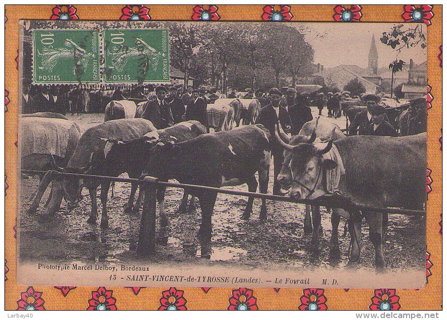 1 Cpa 40 : SAINT VINCENT DE TYROSSE Le Foirail - Vaches - Saint Vincent De Tyrosse