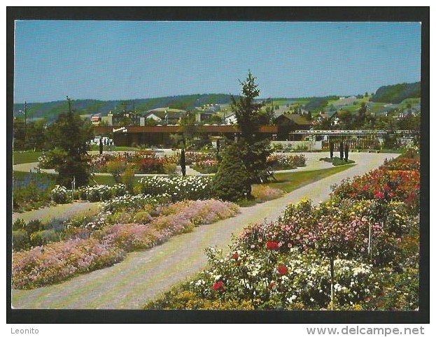 RAFZ ZH Bezirk Bülach Schaugarten Garten-Center HAUENSTEIN 1977 - Bülach