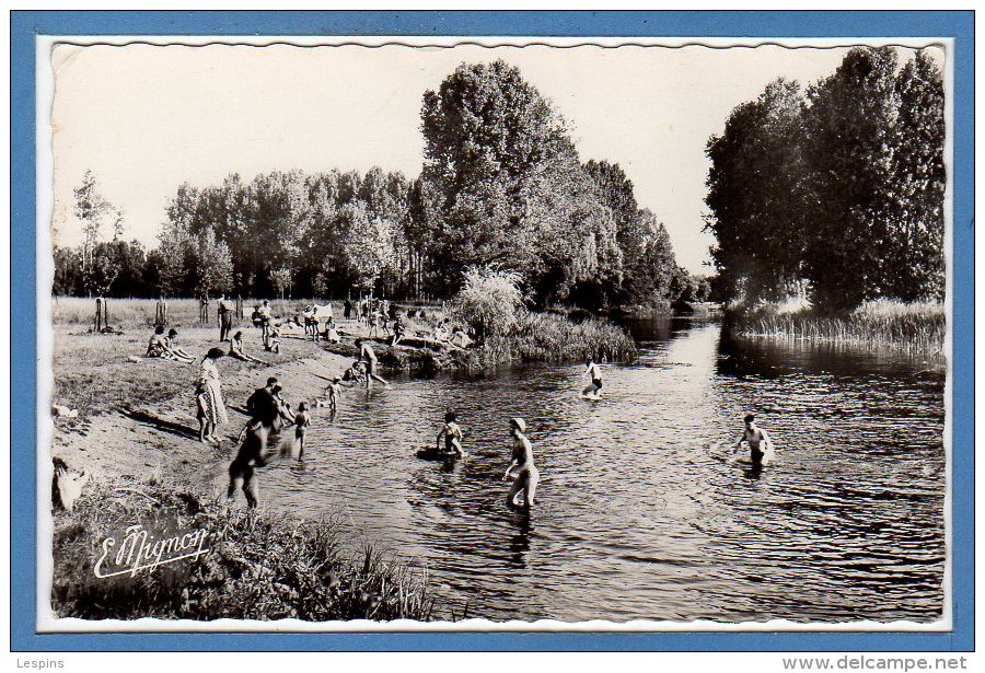 45 - DORDIVES -- La Baignade Sur Le Loing  - 1950 - 60 - Dordives