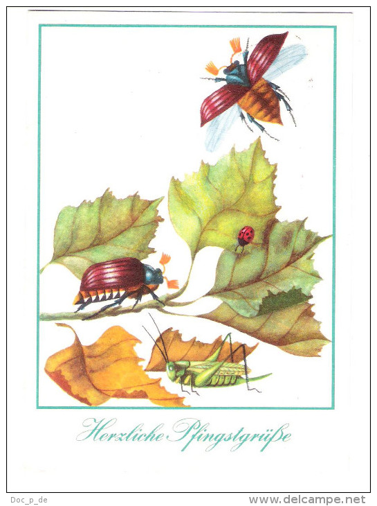 Germany - Pfingsten - Maikäfer - May Beetle - Käfer - Marienkäfer - Ladybird - Nice Stamps - Pentecostés