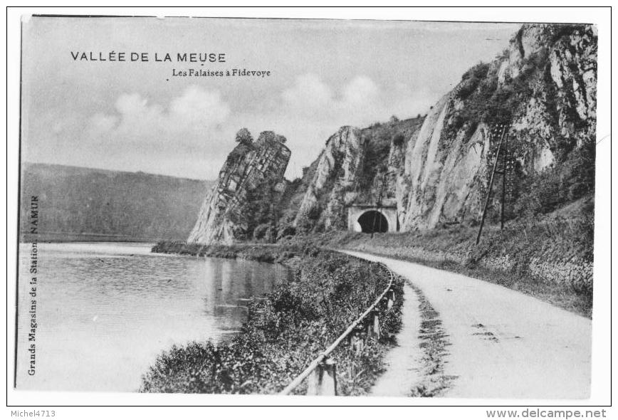 VALLEE DE LA MEUSE  LES FALAISES A FIDEVOYE  CP784 - Autres & Non Classés