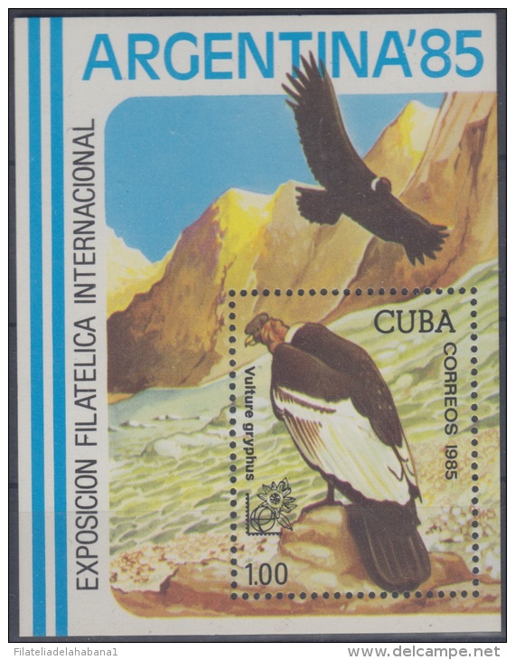 1985.22 CUBA 1985. MNH. SPECIAL SHEET. WORLD EXPO ARGENTINA. CONDOR. AVES. PAJAROS. BIRDS. - Ongebruikt