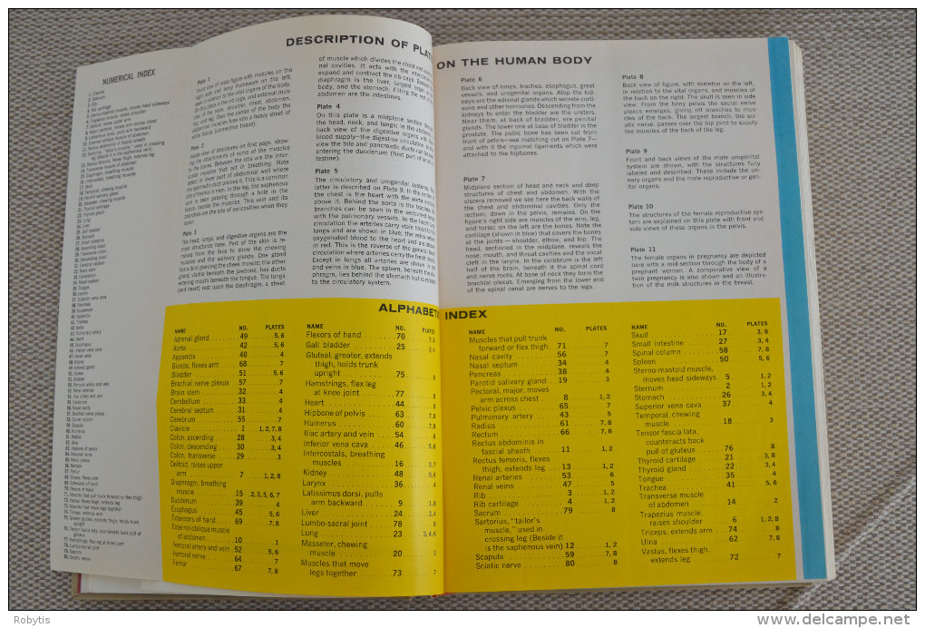 Book Medical And Health Encyclopedia 1975 - Sonstige & Ohne Zuordnung