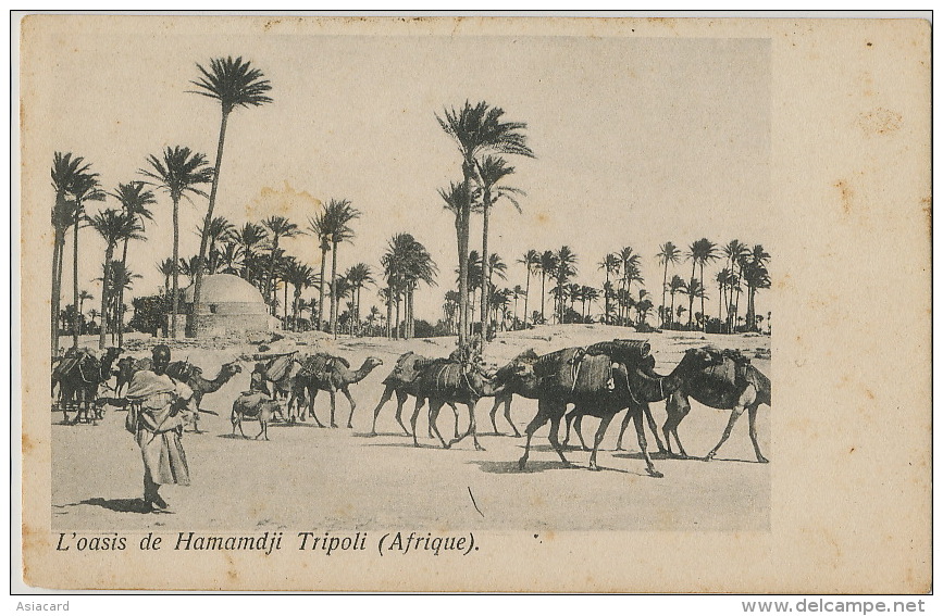 Oasis De Hamamdji Tripoli Caravane  Tripoli De Barbarie  Edit Simeone Di H. Naim - Libia