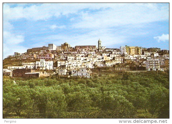 7206/FG/15 - MINERVINO MURGE (BARLETTA) - Panorama - Barletta