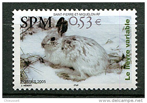 (cl.18 - P5) St Pierre Et Miquelon ** N° 855 (ref. Michel Au Dos) -  Le Lièvre Variable - - Unused Stamps