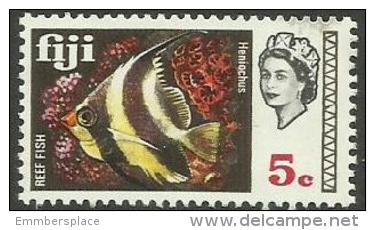 FIJI - 1969 Butterfly Fish 5c MNH **  SG 395  Sc 264 - Fiji (...-1970)