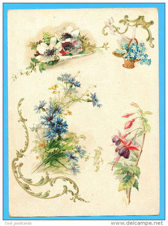 KLEIN?? VICTORIAN SCRAP,  ALBUM CARD, DECOUPIS, CHROMOS, FLOWERS, CORNFLOWER, GOLDPRINT DETAILS, 16.5 X 22.5 Cm - Fleurs