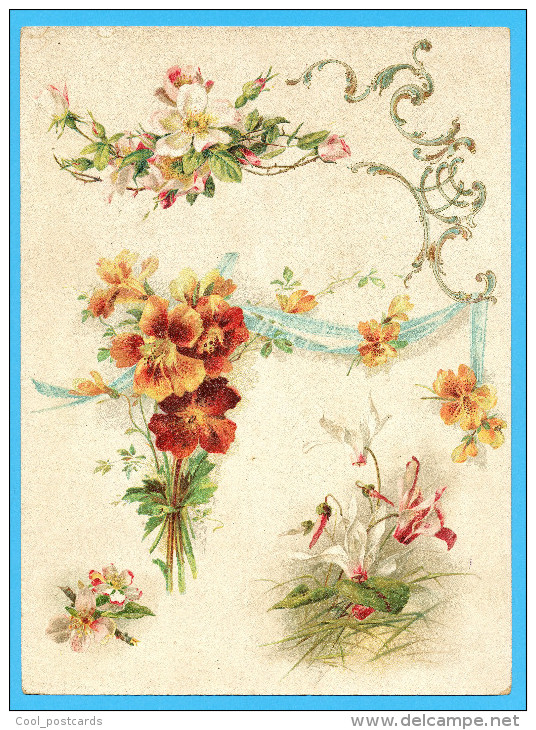 KLEIN?? VICTORIAN SCRAP,  ALBUM CARD, DECOUPIS, CHROMOS, FLOWERS, CYCLAME, GOLDPRINT DETAILS, 16.5 X 22.5 Cm - Flowers