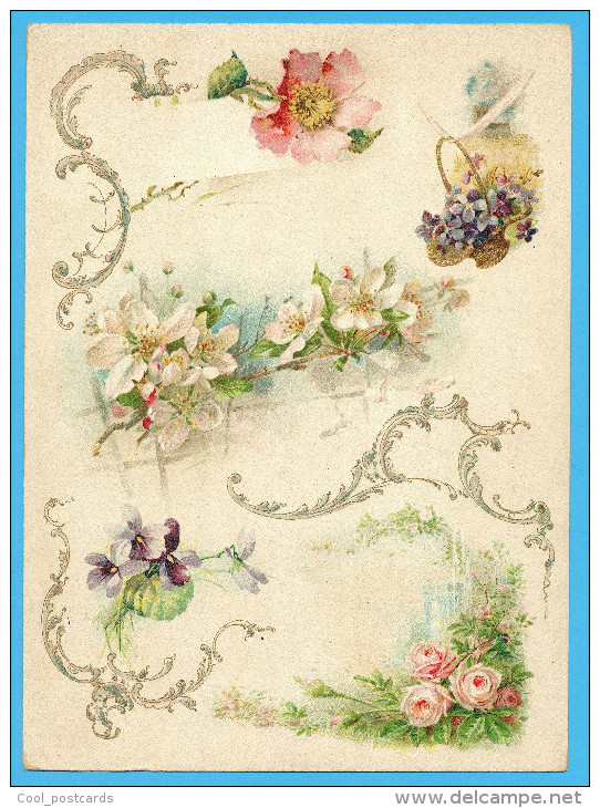 KLEIN?? VICTORIAN SCRAP,  ALBUM CARD, DECOUPIS, CHROMOS, FLOWERS, APPLE BLOSSOM, ROSES, GOLDPRINT, 16.5 X 22.5 Cm - Bloemen