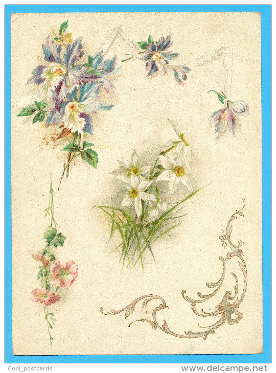 KLEIN?? VICTORIAN SCRAP,  ALBUM CARD, DECOUPIS, CHROMOS, FLOWERS,NARCISUS, ORCHIDS, GOLDPRINT, 16.5 X 22.5 Cm - Flowers