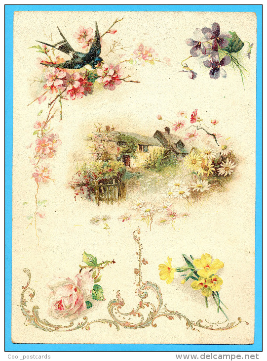 KLEIN?? VICTORIAN SCRAP,  ALBUM CARD, DECOUPIS, CHROMOS, FLOWERS, FARMHOUSE, SWALLOW BIRD, GOLDPRINT, 16.5 X 22.5 Cm - Flowers