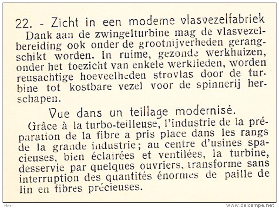 VLASTEELT VLASVEZELFABRIEK VLAS TEILLAGE MODERNISE VANSTEENKISTE WEVELGEM CULTURE DU LIN FLAX LEIN PAYSAN BOER      2602 - Wevelgem