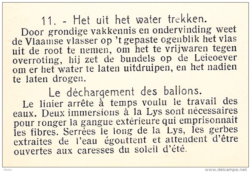 VLASTEELT UIT WATER TREKKEN VLAS DECHARGEMENT DES BALLONS VANSTEENKISTE WEVELGEM CULTURE DU LIN FLAX LEIN PAYSAN    2625 - Wevelgem